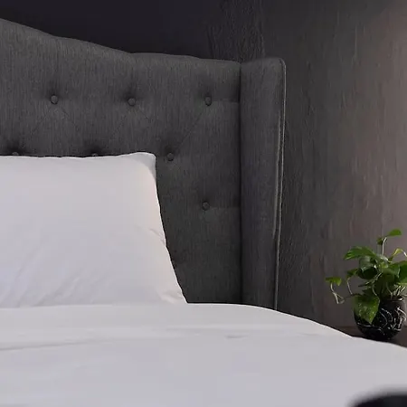 Ancient Agora Living Soluň